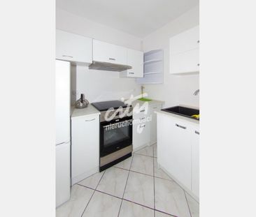 Szczecin - Zdjęcie 5