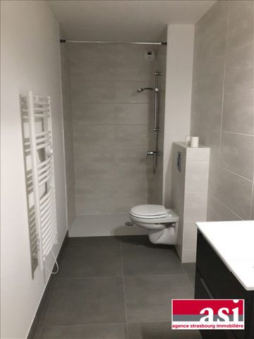 Appartement 2 P - Faubourg National - Strasbourg - Photo 4