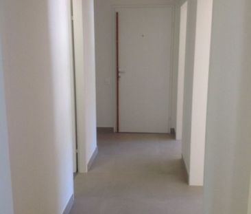 Bel appartement de 4 pièces dans quartier calme ! - Foto 4