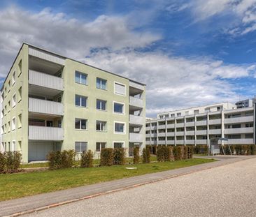 2.5 Zimmer, 66 m², 2. Stock - Foto 6