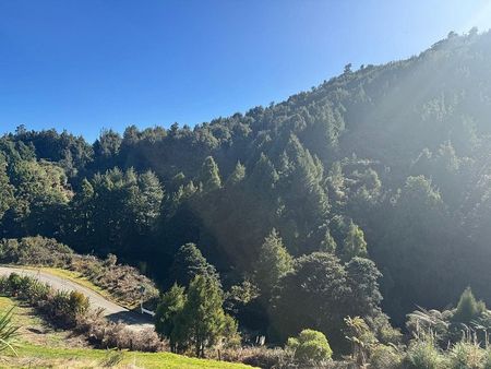Peaceful Rural 1BR Kaimai Kottage in Lower Kaimai - Photo 2