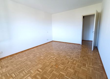 MINUSIO – 2.5 LOCALI VISTA LAGO - Photo 3