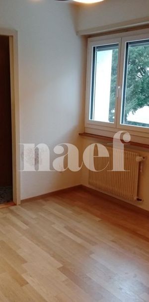 2.5 Zimmer, 62 m², 1. Stock - Foto 1