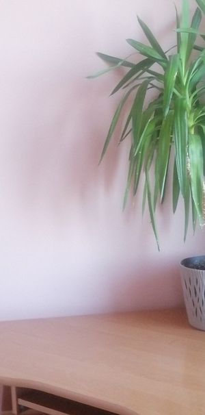 mazowieckie, Warszawa, Praga-Południe, Walewska - Photo 2