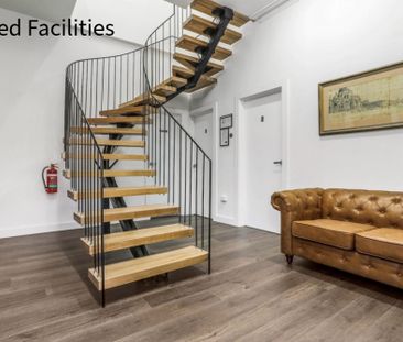 6/117 Probert Street, Newtown NSW 2042 - Studio For Rent | Domain - Photo 1