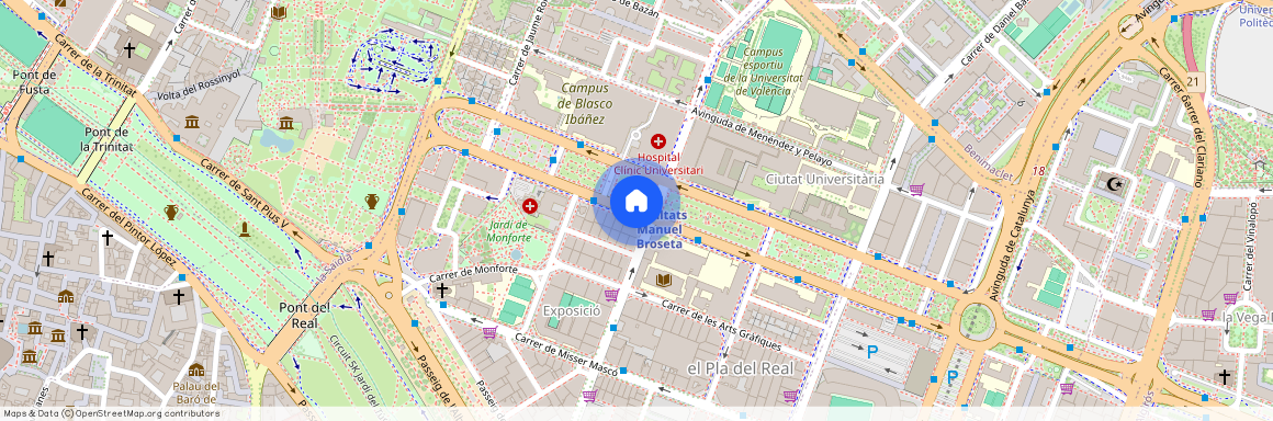 Avenida Blasco Ibáñez, Valencia, Valencian Community 46010