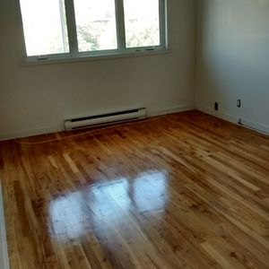 5 1/2 - Photo 2