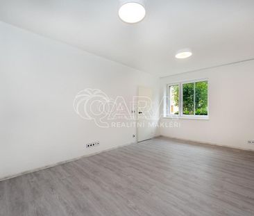 Pronájem bytu 1+1 45 m² - Photo 3