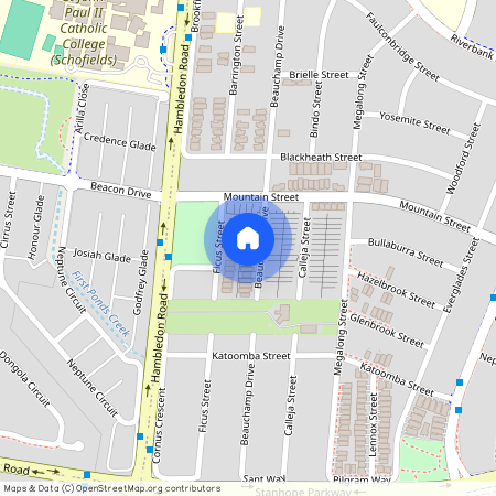 88 Beauchamp Drive, NSW 2769, The Ponds