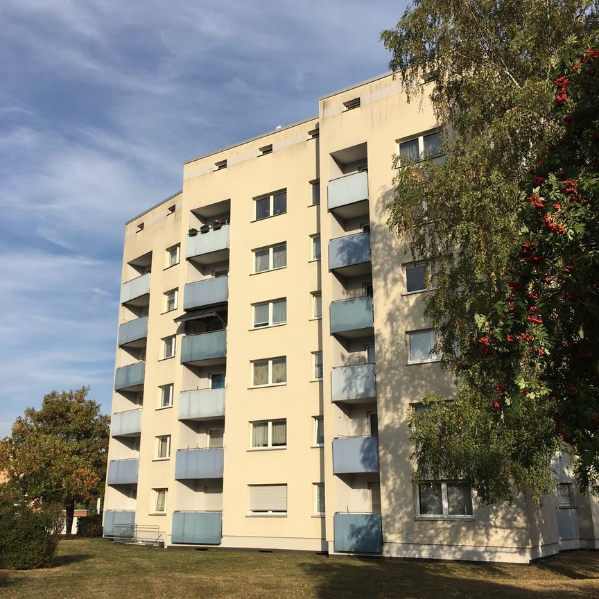 *WBS erforderlich* - Komfortable 2-Zimmer-Wohnung in Seniorenwohnanlage - Photo 1