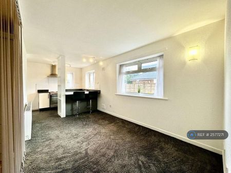 Studio to rent - Photo 4