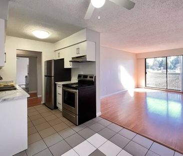 Bright 2 bedroom apartment with patio - Photo 3