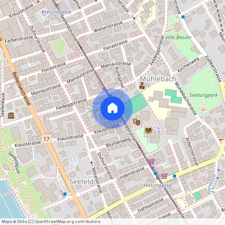 Seefeldstr. 96, 8008, Zürich