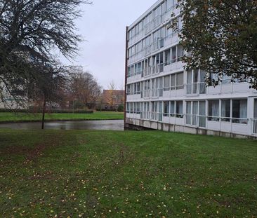 Appartement de 3 pièces, Pleinbuurt, Purmerend - À louer - Photo 5