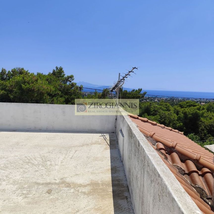 Μονοκατοικία για ενοικίαση Αγία Κυριακή (Σπάτα) - Φωτογραφία 1