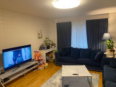 Bruno Liljeforsgatan, Uppsala - Photo 2