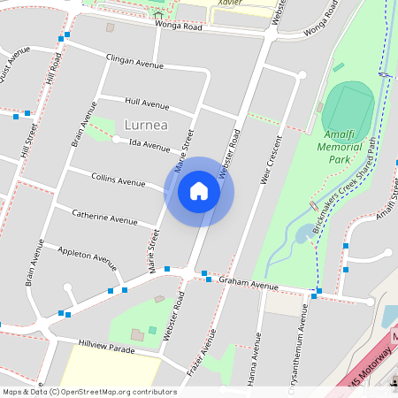 121 Webster Road Lurnea