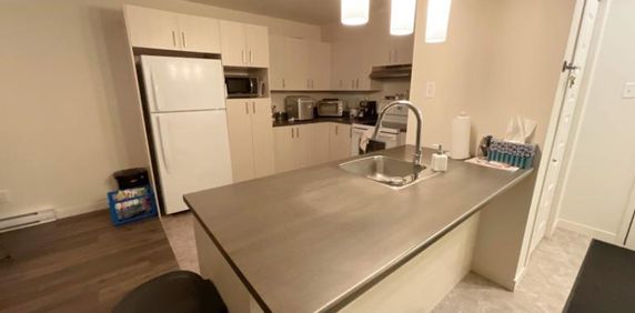 2 CH - 1 SDB - Lévis - $1,250 /mo - Photo 2