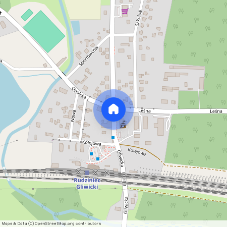 Rudziniec, Rudziniec, gliwicki, śląskie