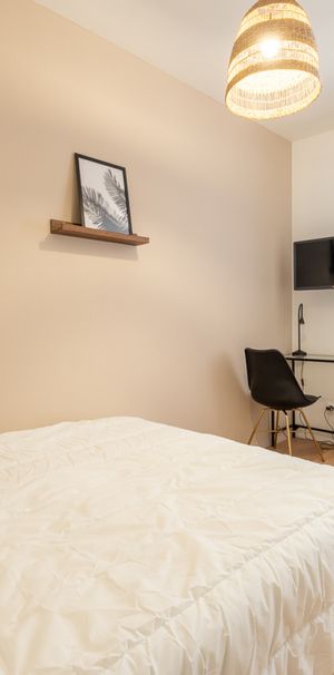 METZ Roommate 5 Bedrooms at Dijon - Photo 1