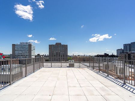 Le Neuf Cents Apartments for rent in Ville-Marie - Photo 5