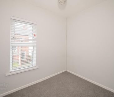 37 Willowfield Street, - Photo 3