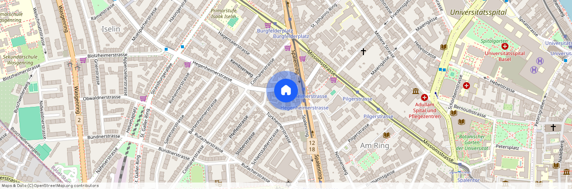 Hegenheimerstr. 23, 4055, Basel