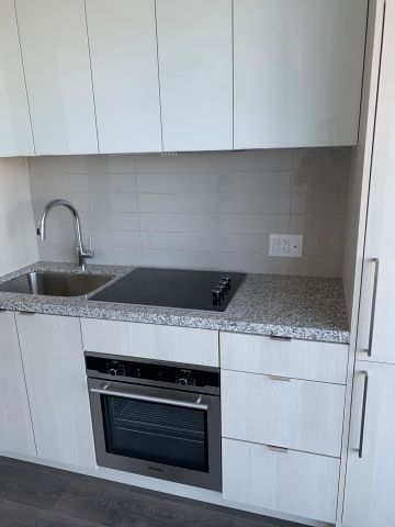 For Lease - 115 Blue Jays Way Unit# 4807, Toronto, Ontario - Photo 3