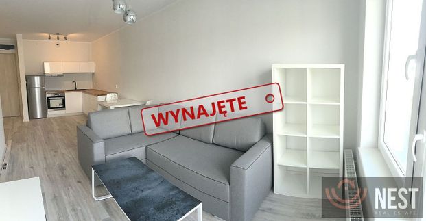 Do wynajęcia 2 pokojowy apartament 43m2 ul. Potulicka - Photo 1