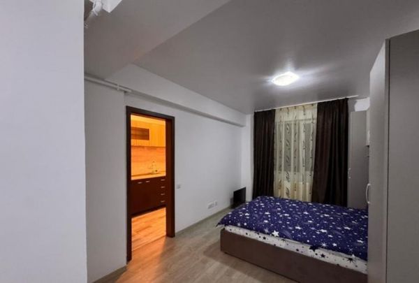 Berceni metrou biruintei drumul fermei parter - Fotografie 1