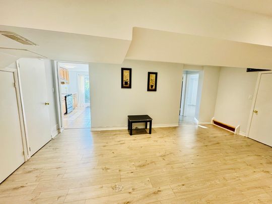 For Lease - 272 Essex (Work Out Basement) Avenue, Richmond Hill, Ontario - Photo 1