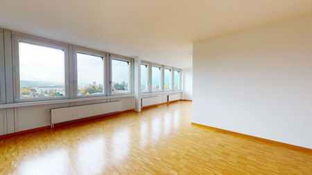 Forty steps from the Solothurn Westbahnhof train station! - Photo 5