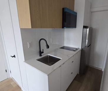 1 CH - 1 SDB - Montréal - $1,190 /mo - Photo 2