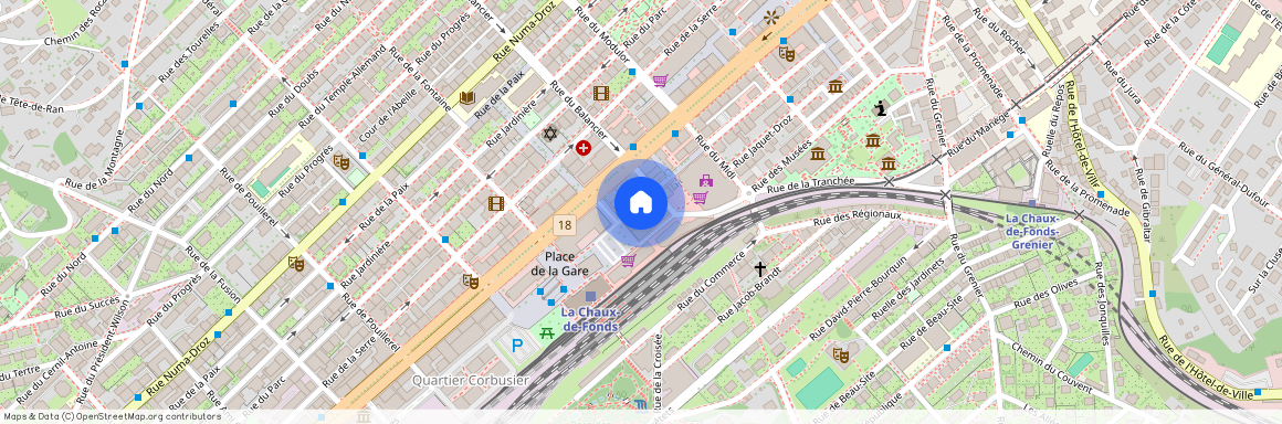 2300, La Chaux-de-Fonds, Rue Daniel-Jeanrichard, 41