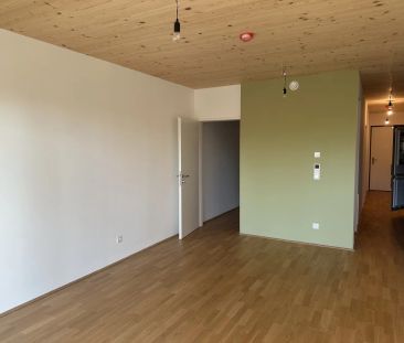 120 Meter zur U1 Oberlaa- Sonnige, barrierefreie südseitige Wohnung... - Foto 3