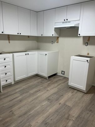 For Lease - 1072 Jalna Boulevard Unit# Basement, London South, Ontario - Photo 1