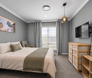 17 Palmerston St, Ripley - Photo 5