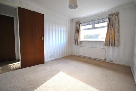 6 Dalton Park, Comber, BT23 5HD - Photo 4