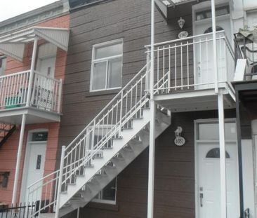 Beau logement près de l petite Italie - Photo 1