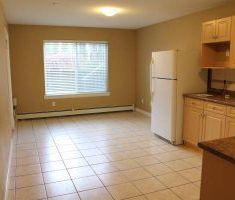 $995 / 2br – 700ft2 – 2 bedrooms & 1 bath basement suite (Port Coqu... - Photo 4