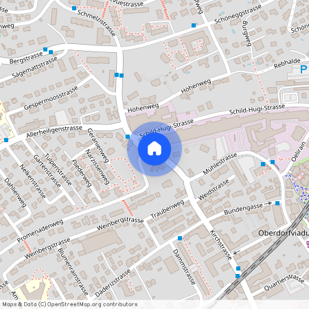 Schmelzistrasse, 2540 Grenchen