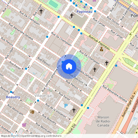 1296 Rue Alexandre DeSève, Montréal (Ville-Marie), QC H2L2V1