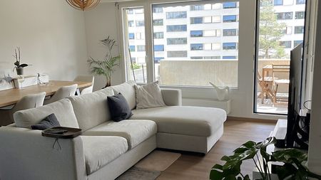 2½ Zimmer-Wohnung in Schlieren (ZH), möbliert, auf Zeit - Foto 4