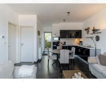 Knus gelijkvloers appartement met leuk zonneterras en tuintje - Photo 4