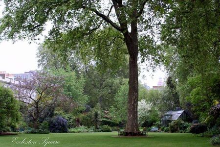 Eccleston Square, Pimlico, London, SW1V - Photo 4