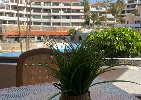 One bedroom apartment for rent in Golf del Sur, San Miguel.
