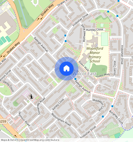 Raleigh Avenue, Swindon