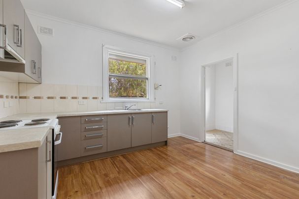 34 Minchington Road, Elizabeth North SA 5113 - House For Rent | Domain - Photo 1