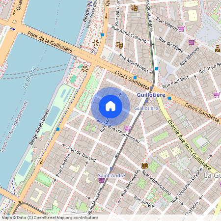 16 RUE PASTEUR, LYON 7EME ARRONDISSEMENT Pasteur