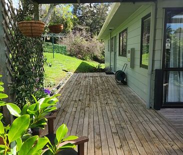 Quiet & Sunny with visiting Tui Birds - Photo 1